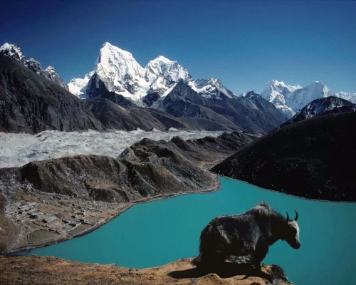 Everest Base Camp Gokyo Lake Trekking