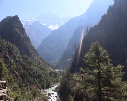 Mountain Treeline And River