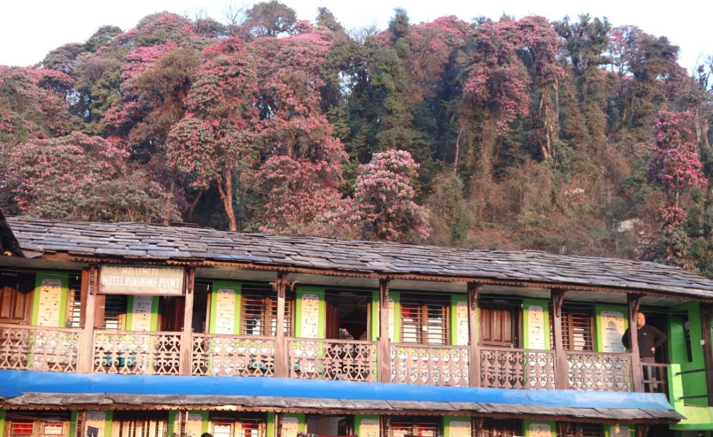 Luxury Annapurna Base Camp Trek 14 Days
