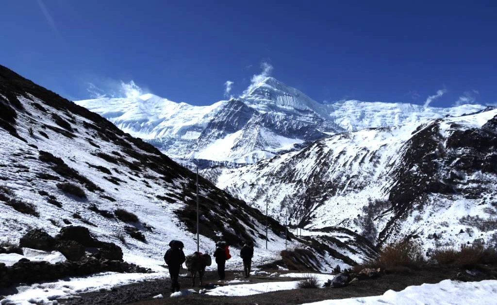 Thapa peak climbing -Dhampus Peak