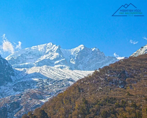  Langtang Views