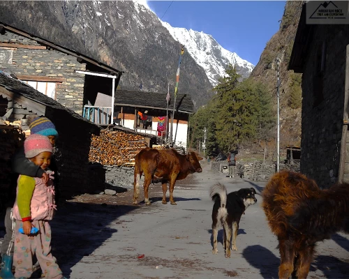 Annapurna Happy Kids