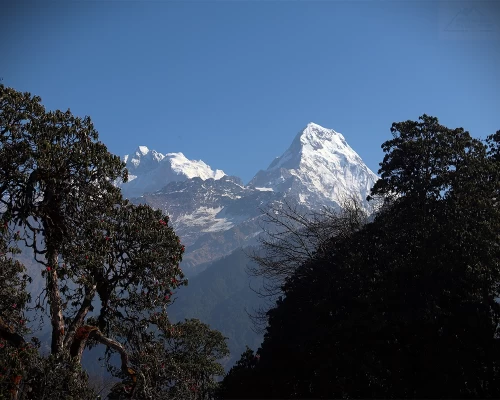 Annapurna Sanctuary Trek