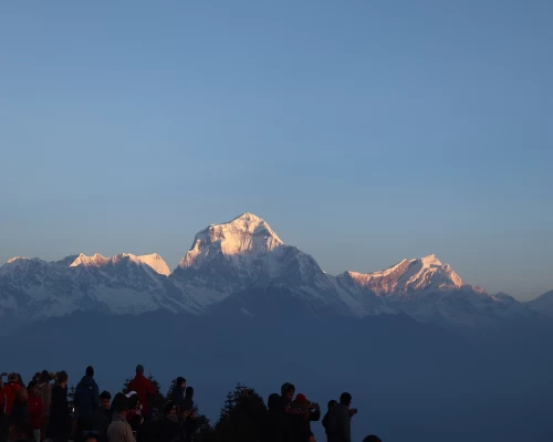 Dhulagiri And Tukuche Peak.JPG