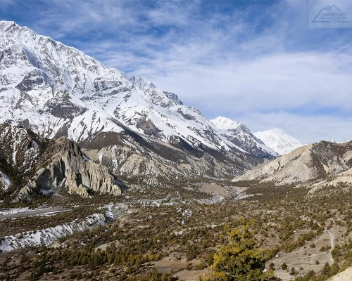 Down To Hunde From Nawal