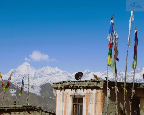 House In Mustang