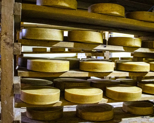Kenjing Cheese Factory 