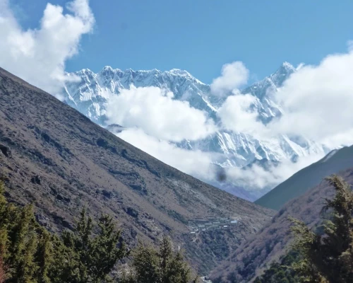 Picture From Dibuche